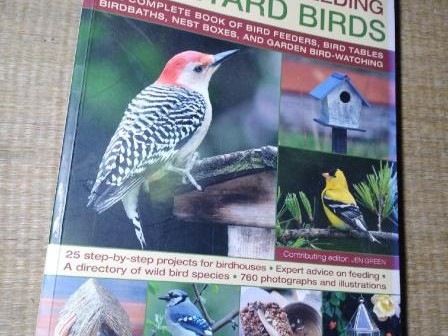 How Do I Attract Birds to My Bird Feeder: A Comprehensive Guide